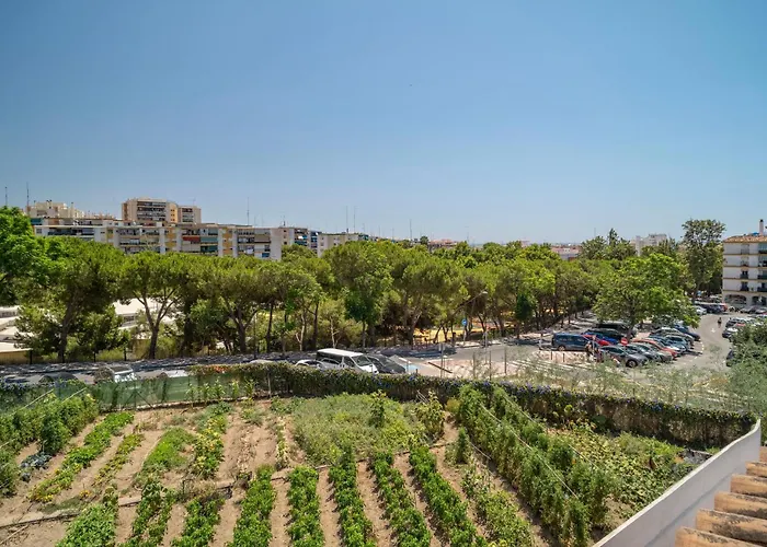 Stunning In With Wifi